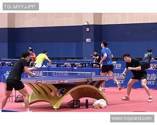 南京乒乓球队耐力表现数据分析与训练策略探讨 南京乒乓球队耐力表现数据分析与训练策略探讨