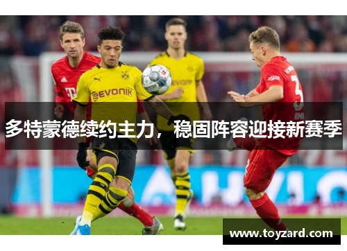 多特蒙德续约主力，稳固阵容迎接新赛季