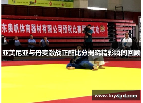 亚美尼亚与丹麦激战正酣比分揭晓精彩瞬间回顾